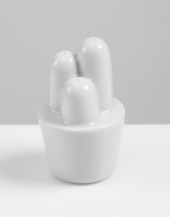 Poivrier Cactus, Tomas Kral