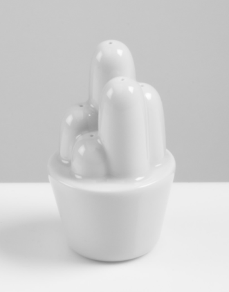 Salière Cactus, Tomas Kral