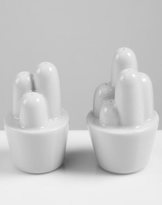 Set Cactus, Tomas Kral